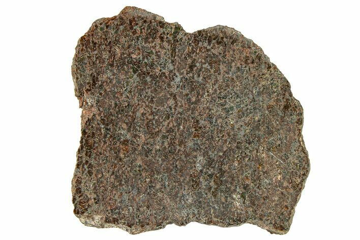 Polished Ureilite Meteorite (g) Slice - NWA #302236